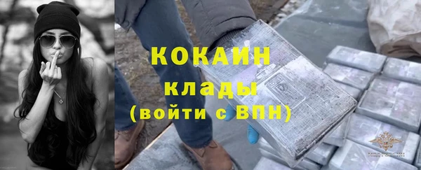 кокс Белокуриха
