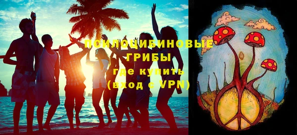 кокс Белокуриха