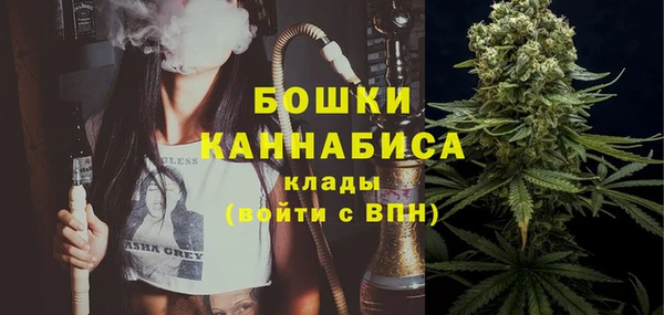 кокс Белокуриха
